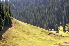 路上的風(fēng)景