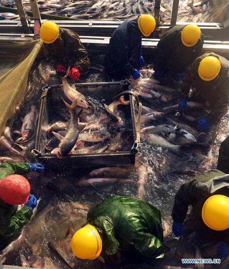 #CHINA-ANHUI-FISHING (CN)