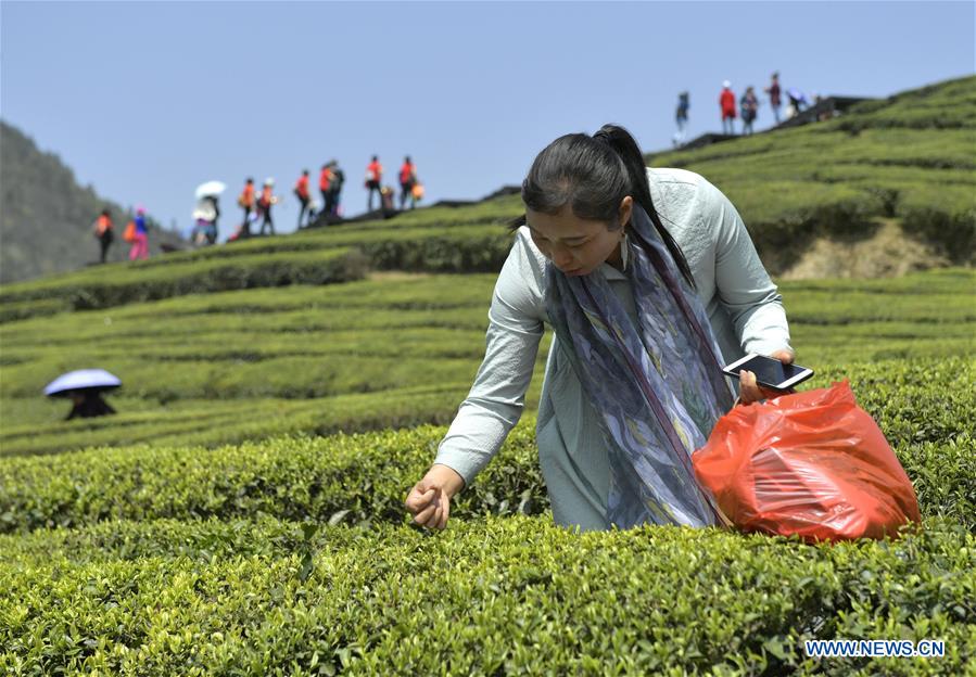 #CHINA-HUBEI-TEA FARM (CN)