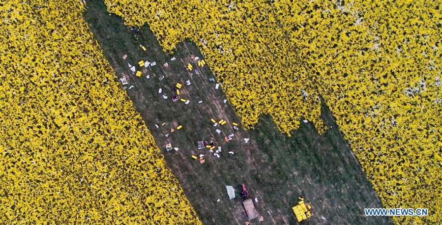 (EcoChina)CHINA-BEIJING-HORTICULTURAL EXPO-HENAN (CN)