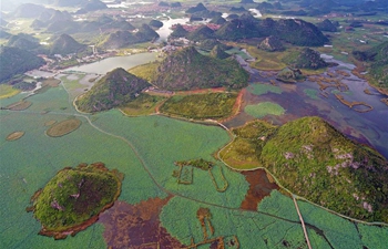 Scenery at Puzhehei national wetland park in SW China's Yunnan