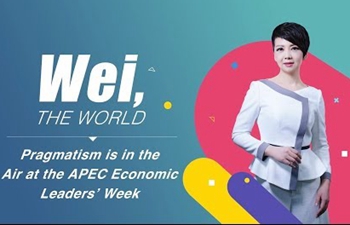 Wei, the World: Pragmatism is in the air at the APEC Economic Leaders&rsquo; Week