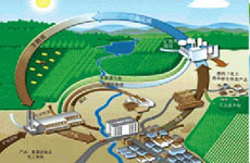 生物質能:智利人的循環經濟理念