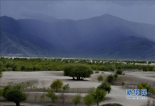 西藏為雅魯藏布江筑起&ldquo;綠色籬笆&rdquo;