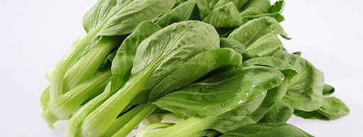 胡五岳：嚴(yán)把農(nóng)田到餐桌每一道防線(xiàn)