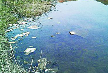 觀察三:取水源頭垃圾圍城 是否影響水質?