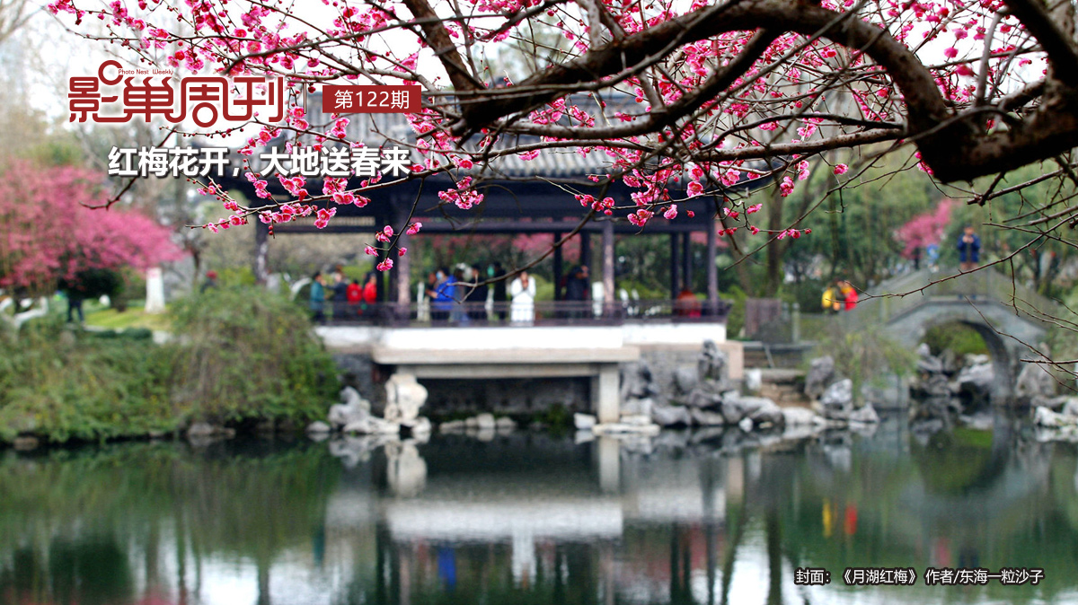 【影巢周刊】紅梅花開，大地送春來(lái)