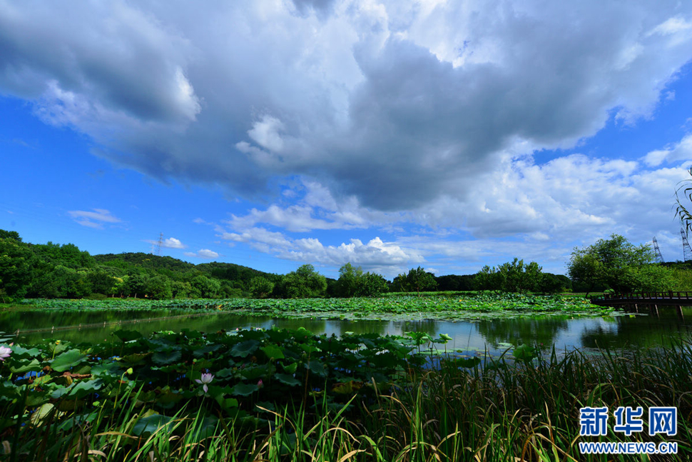 秋高氣爽，行攝八掛田