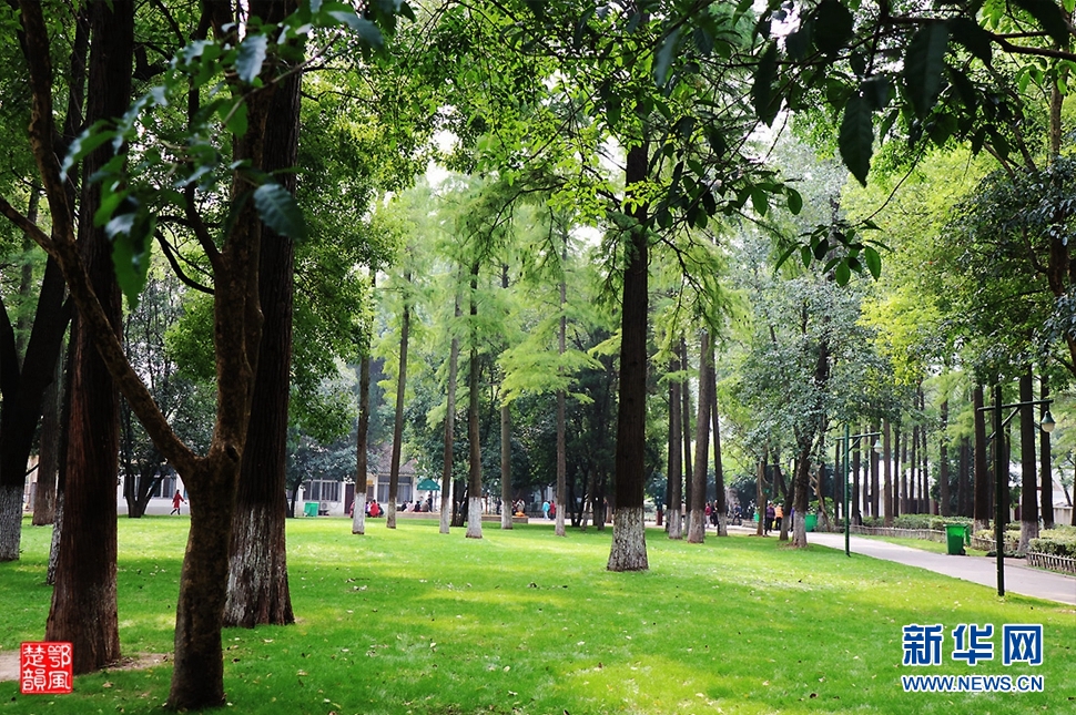 秋游漢口解放公園