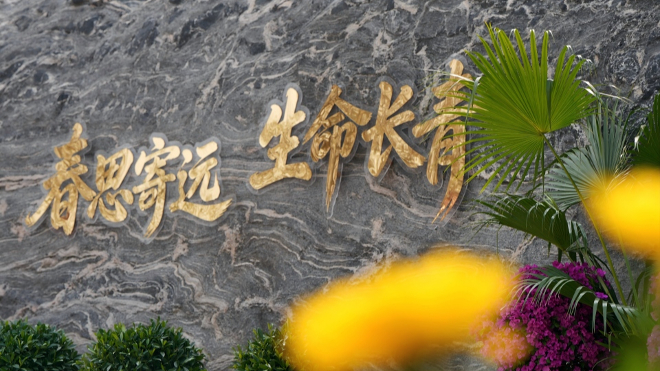 新華網民生觀察丨生態安葬，從被動接受到主動預約