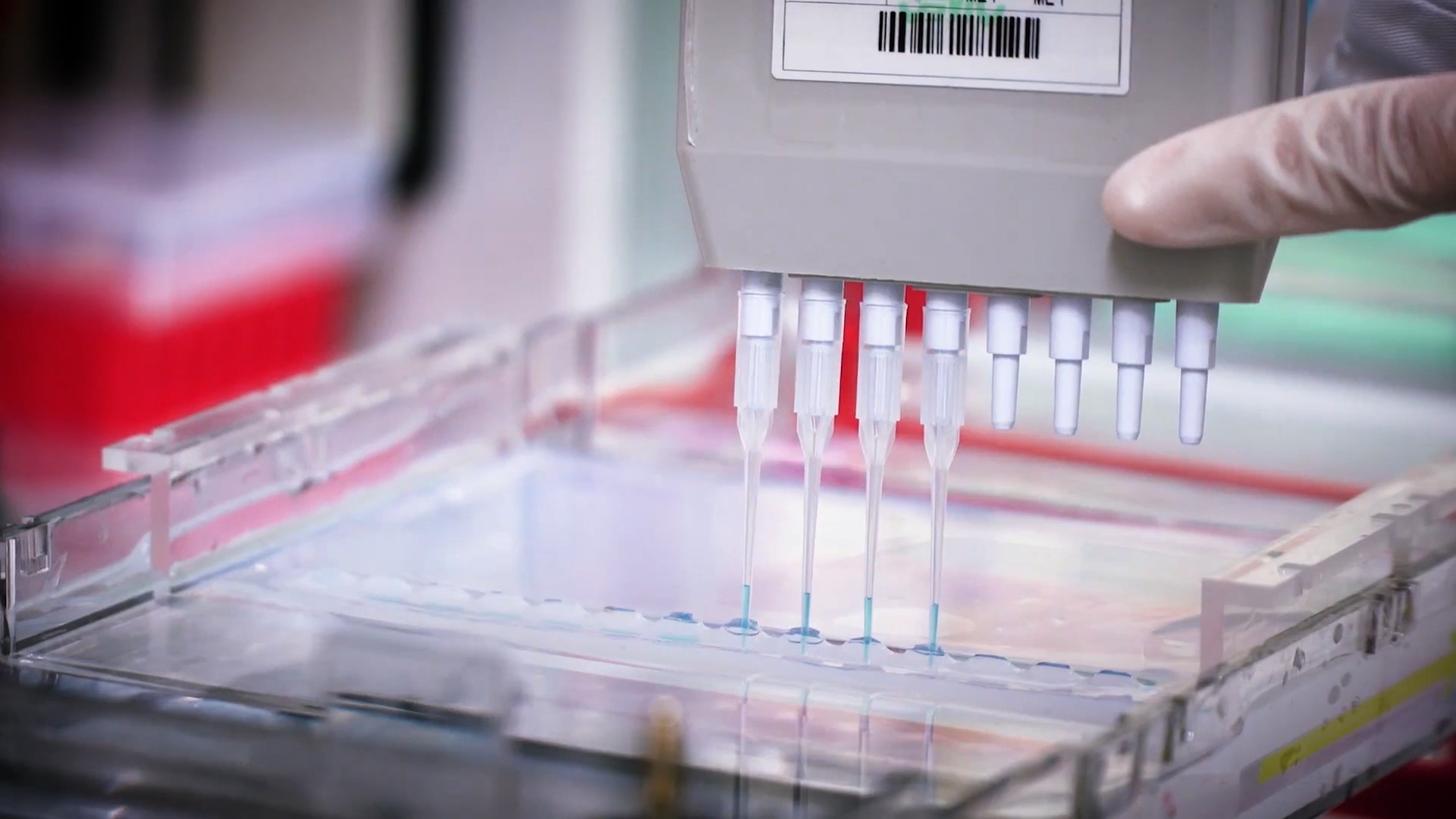 致敬偉大改革｜對(duì)話40年，講述身邊的健康故事32&mdash;打破醫(yī)學(xué)禁區(qū)，探尋生命奇跡