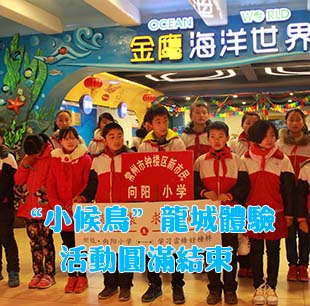 第52個學雷鋒日 &ldquo;小候鳥&rdquo;龍城體驗活動圓滿結束