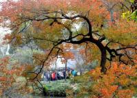 蘇州銀行獲&ldquo;理財(cái)十佳&rdquo;