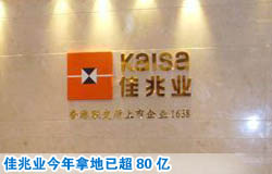 廣州一房企去年營業額不足120億 今年拿地已超80億