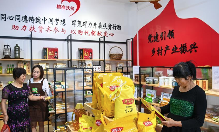 黨建引領鄉村振興&mdash;&mdash;順德黃龍村見聞