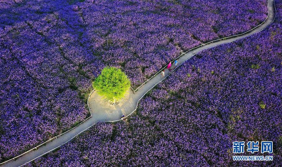 （十九大&middot;讀報告 話民生）（7）加快生態文明體制改革，建設美麗中國