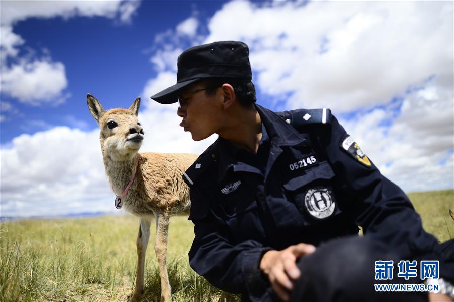 （十九大&middot;讀報告 話民生）（8）加快生態文明體制改革，建設美麗中國