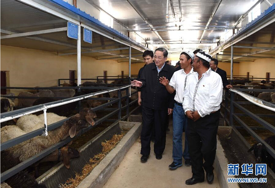 9月27日，中共中央政治局常委、全國政協(xié)主席、中央代表團團長俞正聲率中央代表團部分成員赴喀什地區(qū)莎車縣看望各族干部群眾。這是俞正聲在新疆生產建設兵團第三師莎車農場實地察看萬只羊養(yǎng)殖基地。新華社記者 饒愛民 攝