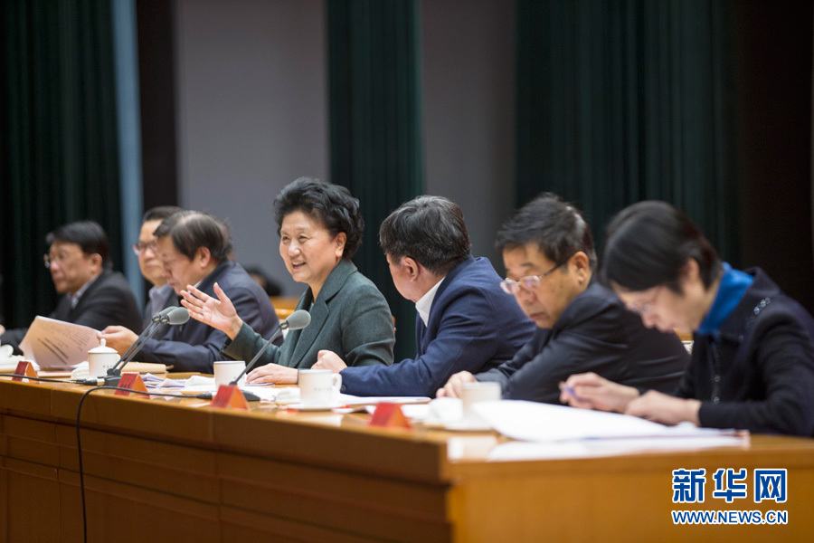 1月16日，中共中央政治局委員、國務院副總理劉延東在北京出席&ldquo;加強和改進新形勢下高校思想政治工作專題研討班&rdquo;開班式。 新華社記者崔新鈺 攝