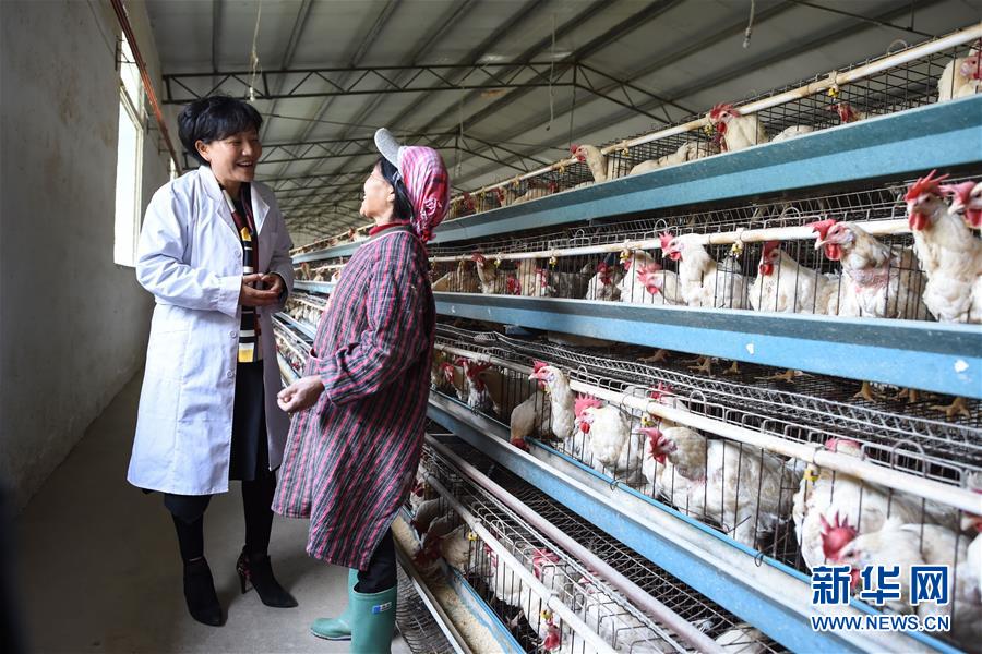 （十九大代表回基層&middot;圖文互動）（1）擺脫貧困后，還應有更高的精神追求&mdash;&mdash;十九大代表余留芬的&ldquo;宣講時光&rdquo;