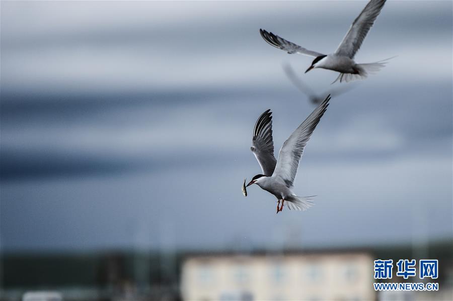 （圖文互動(dòng)）（10）奏響新時(shí)代偉大復(fù)興的壯麗樂(lè)章&mdash;&mdash;寫(xiě)在&ldquo;中國(guó)夢(mèng)&rdquo;提出五周年之際