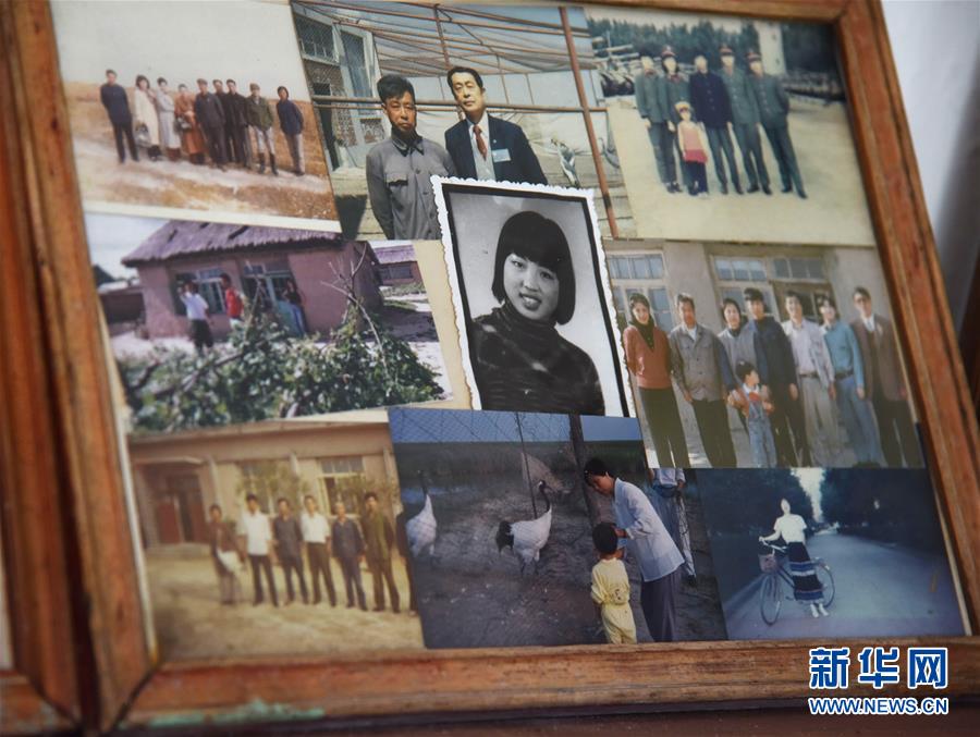 （圖文互動&middot;新華全媒頭條）（7）一家人與一群鶴的生死相守