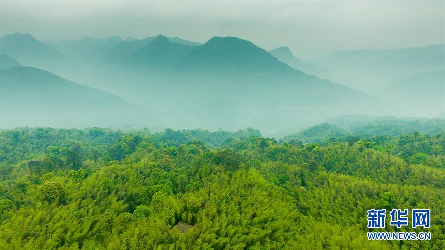（新華全媒頭條&middot;圖文互動）（9）赤水：別了，貧困！