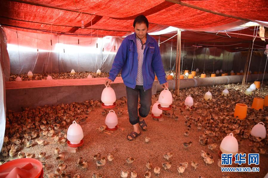 （新華全媒頭條&middot;圖文互動）（8）赤水：別了，貧困！