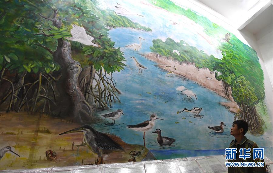 （圖文互動）（5）十年樹木、紅樹成林&mdash;&mdash;&ldquo;海上森林&rdquo;回歸記