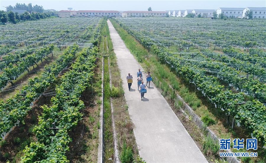 （新華全媒頭條&middot;紀念改革開放40年特稿&middot;圖文互動）（5）向著新航程揚帆奮進！&mdash;&mdash;從小崗精神看中國改革開放40年