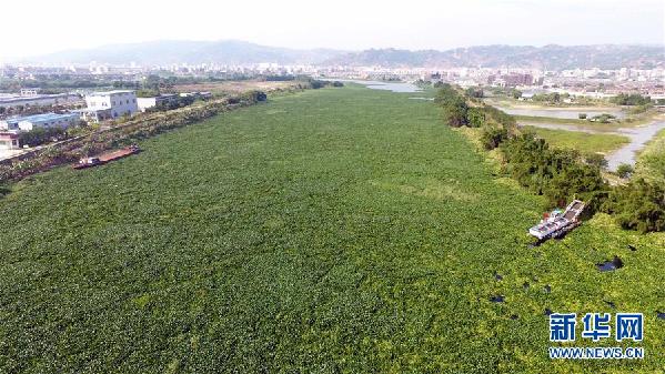 （圖文互動）（1）&ldquo;白練&rdquo;變&ldquo;黑龍&rdquo;，江河變&ldquo;草原&rdquo;－－粵東母親河為何污染20多年難治理？