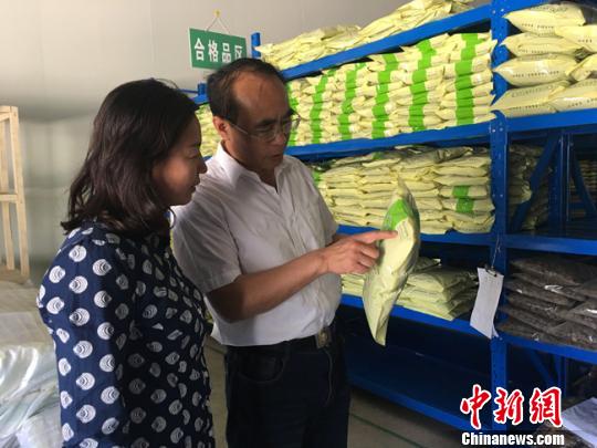 甘肅天水“股份農(nóng)民”致富經(jīng):多元入股增財(cái)產(chǎn)性收入