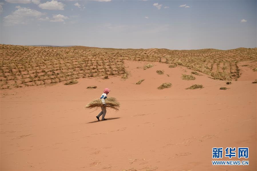 （新華全媒頭條&middot;圖文互動(dòng)）（3）荒漠化治理的&ldquo;中國智慧&rdquo;