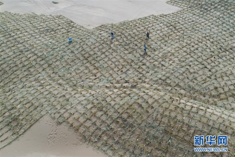 （新華全媒頭條&middot;圖文互動(dòng)）（8）荒漠化治理的&ldquo;中國智慧&rdquo;