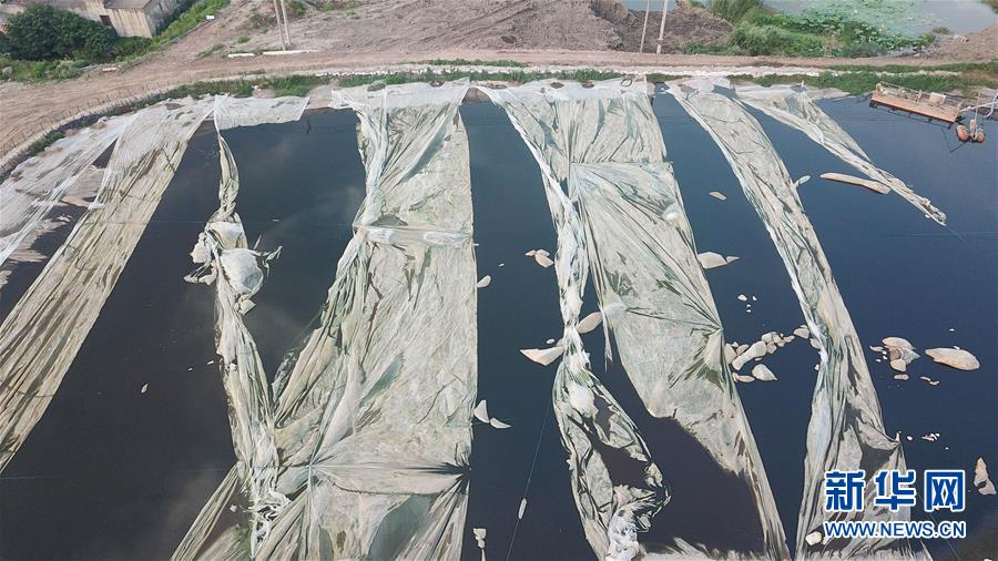 （新華視點&middot;圖文互動）（4）中央督察兩年有的絲毫未改，有的不減反增&mdash;&mdash;江蘇泰興數萬噸化工廢料和污泥堆放長江邊調查