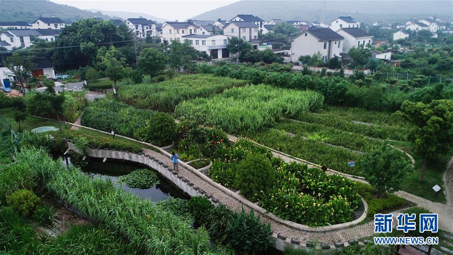 （在習近平新時代中國特色社會主義思想指引下&mdash;&mdash;新時代新作為新篇章&middot;圖文互動）（1）稀奇！治污濕地成了休閑公園&mdash;&mdash;江蘇蘇州全域推進農村生活污水治理