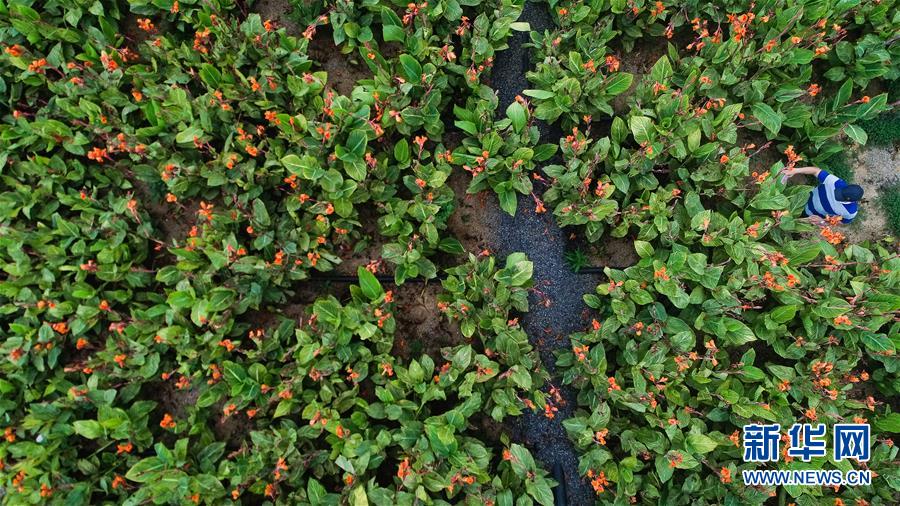 （在習近平新時代中國特色社會主義思想指引下&mdash;&mdash;新時代新作為新篇章&middot;圖文互動）（5）稀奇！治污濕地成了休閑公園&mdash;&mdash;江蘇蘇州全域推進農村生活污水治理