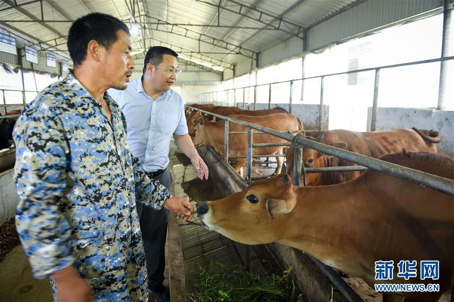 （脫貧攻堅(jiān)&middot;圖文互動(dòng)）（2）&ldquo;不畏難、不畏煩、不畏苦&rdquo;&mdash;&mdash;記&ldquo;80后&rdquo;扶貧干部李朝陽(yáng)