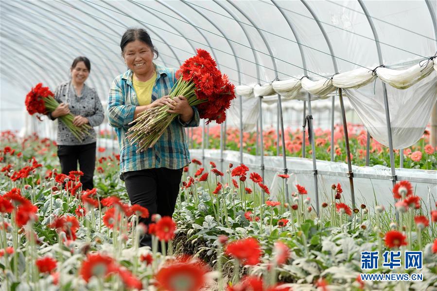 (大江奔流——來自長江經(jīng)濟(jì)帶的報道·新華全媒頭條·圖文互動)(3)擘畫新時代中國發(fā)展新坐標(biāo)——深入推動長江經(jīng)濟(jì)帶發(fā)展述評