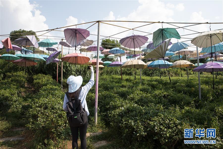 （大江奔流&mdash;&mdash;來(lái)自長(zhǎng)江經(jīng)濟(jì)帶的報(bào)道&middot;圖文互動(dòng)）（4）在這里，做一個(gè)幸福的農(nóng)民