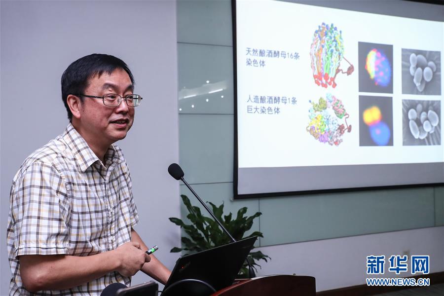 （科技）（2）中國&ldquo;創造&rdquo;世界首例單條染色體真核細胞