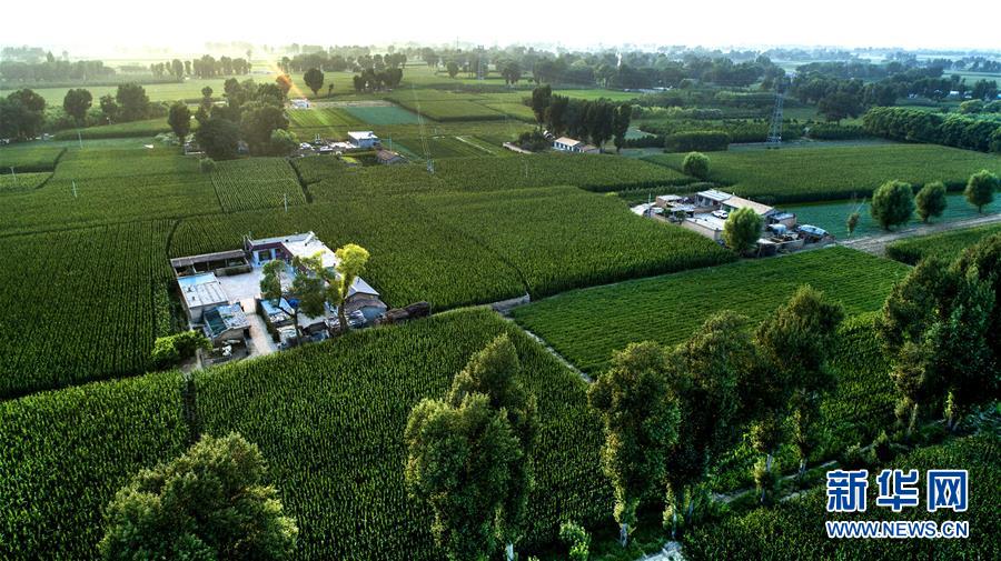 （壯闊東方潮 奮進(jìn)新時(shí)代&mdash;&mdash;慶祝改革開放40年）（13）感受&ldquo;毛烏素&rdquo;的生機(jī)