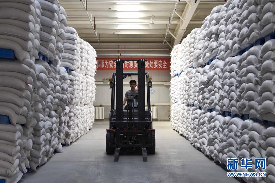 （新華全媒頭條&middot;圖文互動）（6）去新疆！穿越古今絲綢之路