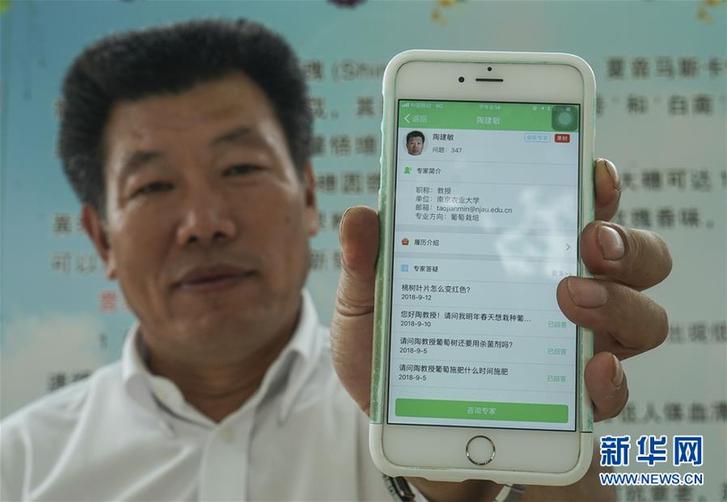 （豐收的味道&middot;圖文互動）（3）露濃壓架葡萄熟&mdash;&mdash;江蘇灌南縣葡萄產(chǎn)業(yè)&ldquo;變身記&rdquo;