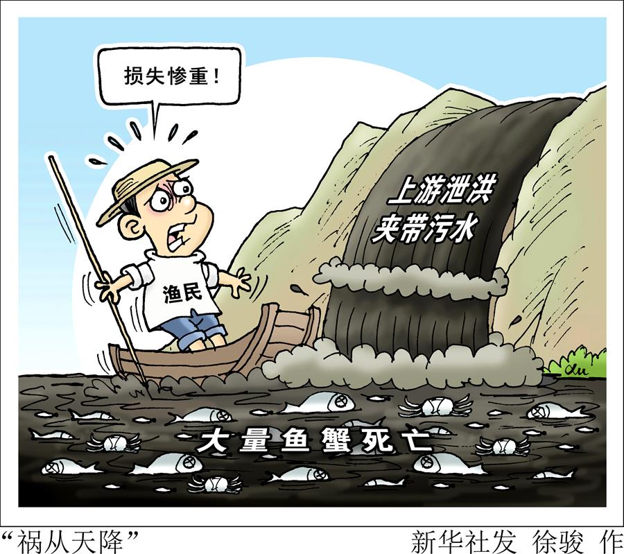 （圖表&middot;漫畫）[新華視點(diǎn)]&ldquo;禍從天降&rdquo;