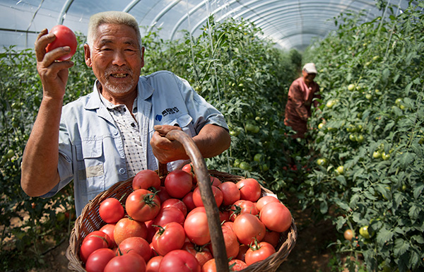 秋收的中國，你想象不到的美！但更美的是&hellip;&hellip;