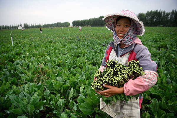 秋收的中國，你想象不到的美！但更美的是&hellip;&hellip;