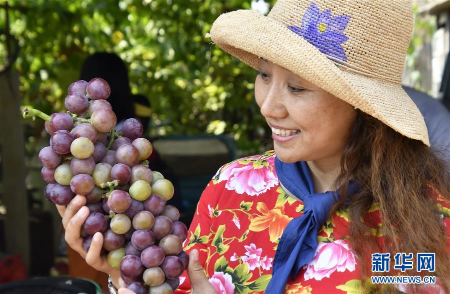 （新華全媒頭條&middot;圖文互動(dòng)）（8）最年輕的節(jié)日 最悠久的牽念&mdash;&mdash;寫給首個(gè)中國(guó)農(nóng)民豐收節(jié)