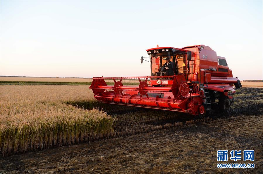 （新華全媒頭條&middot;圖文互動(dòng)）（1）情系黑土地&mdash;&mdash;習(xí)近平總書記考察東北三省回訪記