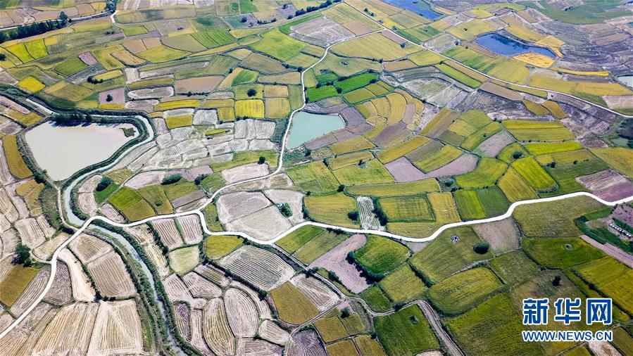 （壯闊東方潮　奮進(jìn)新時(shí)代&mdash;&mdash;慶祝改革開放40年&middot;圖文互動）（1）&ldquo;人民的期盼就是改革的動力&rdquo;&mdash;&mdash;&ldquo;大包干&rdquo;帶頭人寄語改革